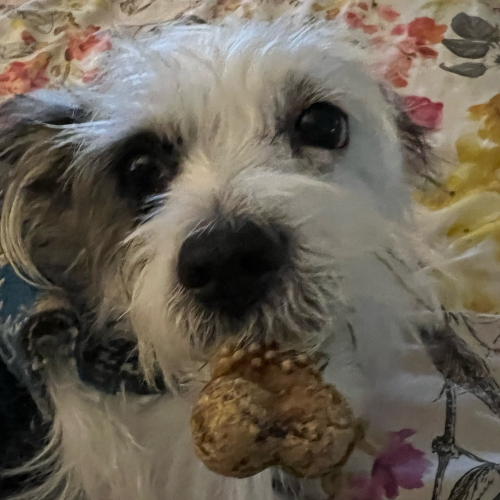 Meet your Posher, Posh